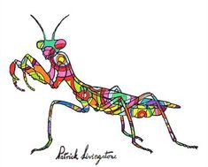 a colorful drawing of a praying mantissa