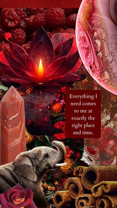 "Everything I need comes to me at exactly the right place and time." Red Collage Wallpaper Aesthetic, Chakra Aesthetic, Red Chakra, Aesthetic Collage Wallpaper, Chakra Lotus, Lotus Wallpaper, Cinnamon Red, Inspirational Wallpaper