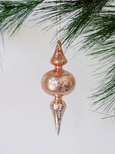 an ornament hanging from a christmas tree branch with pine branches in the background