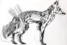 a black and white drawing of a wolf