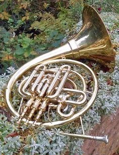 an old brass french horn laying on the ground in front of some bushes and shrubbery