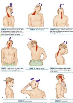 an image of a man doing exercises for neck pain