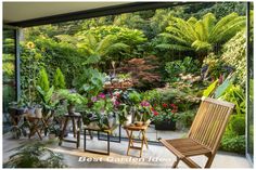 an outdoor garden with lots of plants and chairs