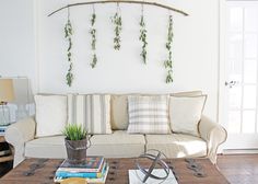 a living room with a couch, coffee table and plants on the wall above it