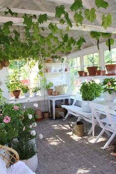 an outdoor patio with potted plants on the roof and tables in the middle,