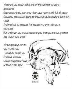 a drawing of a dog laying down with its head on the ground and poem written in it