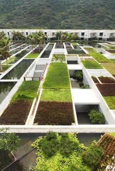 an aerial view of a building with many plants growing on it