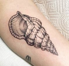 a black and white photo of a sea shell tattoo on the right arm, it has a scallop