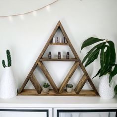 a shelf with some plants and candles on it