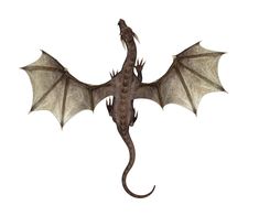 a large brown dragon with wings spread out