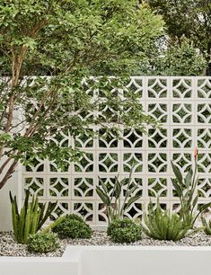 a white fence surrounded by succulents and trees