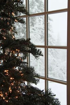 a christmas tree in front of a window with lights on it and snow covered trees outside