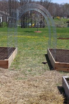 two raised garden beds with plants in them on the grass and one has a wire arch over it