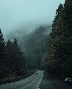 cars are driving down the road in front of some tall pine trees on a foggy day