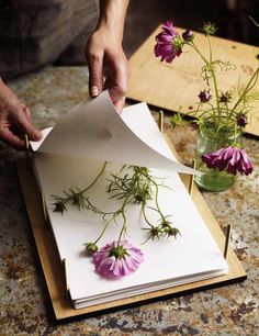 a person cutting paper with flowers in vases on the table next to each other