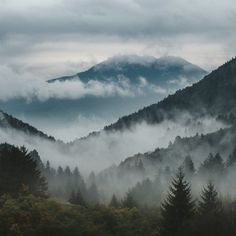 the mountains are covered in fog and low lying clouds