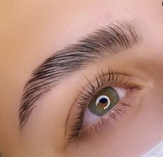 Brow Lamination And Lash Lift, Natural Laminated Brows, Natural Brow Lamination, Eyebrows Lamination, Eyelash Lamination, Brows Lamination, Eyebrows Goals