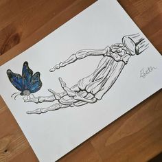 a blue butterfly sitting on top of a piece of paper next to a human hand