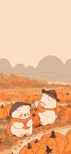 two teddy bears sitting in the middle of a field of pumpkins