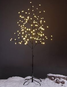 a lighted tree with white lights in the snow