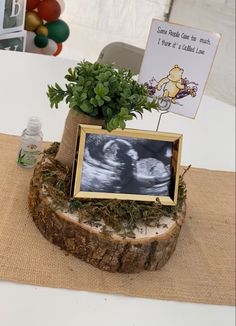 there is a small tree stump with a picture frame on it and a plant in the center