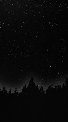 the night sky is filled with stars and trees