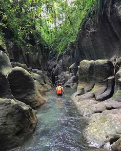 a man in an orange vest wading through a river surrounded by rocks and greenery