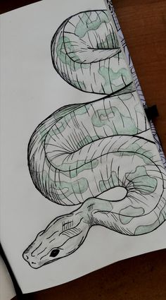 a drawing of a snake on top of a piece of paper