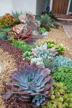 an assortment of succulents and rocks in front of a house