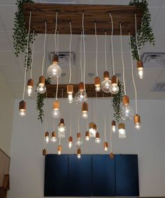 a bunch of lights that are hanging from the ceiling in a room with plants growing out of them