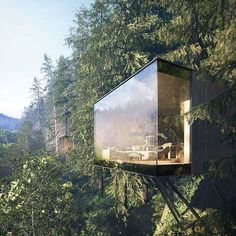 a glass box in the middle of trees with a couch on it's side