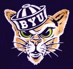 an orange and black cat wearing a hat with the word byu on it's face