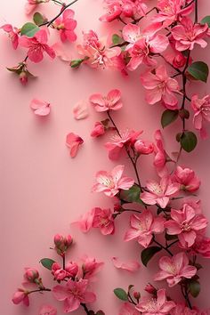 pink flowers on a pink background with green leaves