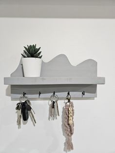 a shelf with key hooks and a potted plant