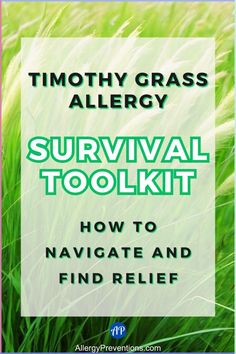 Discover your ultimate Timothy Grass Allergy Survival Toolkit! 🌾 Learn essential strategies to navigate through allergy season and find much-needed relief. From expert tips to effective remedies, conquer your allergies and enjoy the outdoors again! #GrassAllergy #AllergyRelief #AllergyPreventions Diy Allergy Relief, Allergy Relief Remedies, Grass Allergy, Allergy Shots, Allergy Season, Pollen Allergies, Allergy Relief, Seasonal Allergies, Nasal Congestion