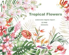 watercolor tropical flowers and leaves clipart for commercial use on white background with space for text