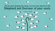 a poster with sheep and an umbrella in front of the words, for you were staying like sheep, but have now returned to the shepherd and overseer of your souls