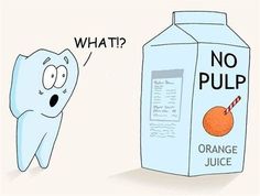 Dentaltown - What!? No Pulp. Dental Hygiene Humor, Dentistry Humor, Canal Art, Registered Dental Hygienist