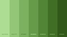 a green color scheme with different shades