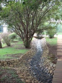 there is a small stream running between two trees in the yard with rocks on both sides