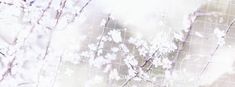 blurry photograph of branches with white flowers in the foreground and light colored background