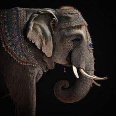 an elephant with intricately decorated tusks is standing in front of a black background