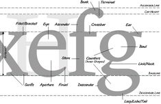 the words are labeled in several different font styles and sizes, including letters that appear to be made out of paper