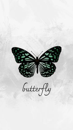 a black and green butterfly with the word butterfly on it's back side, against a white background