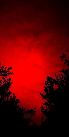 the sun is setting behind some trees with red clouds in the sky above it,