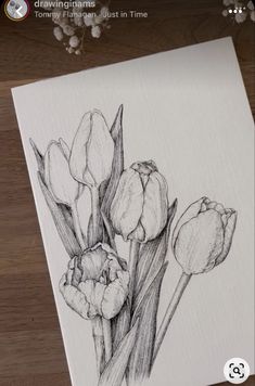 a drawing of some flowers on a piece of paper