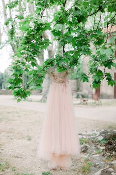 a dress hanging from a tree in the middle of a field with green leaves on it