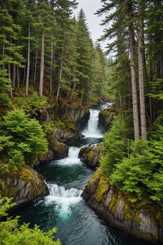 Unveiling the Charms of Ketchikan, Alaska 🌲🦅 Kenai Peninsula Alaska, Alaska Fishing Trip, Gulf Of Alaska, Fishing In Alaska, Ketchikan Alaska, Random Photography, Native Artwork, Alaska Usa, Pretty Views