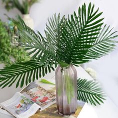 a plant in a vase sitting on top of a table next to a magazine and magazines