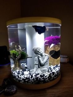 an aquarium with fish and plants in it on top of a wooden table next to a phone